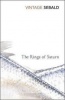 The Rings of Saturn Photo