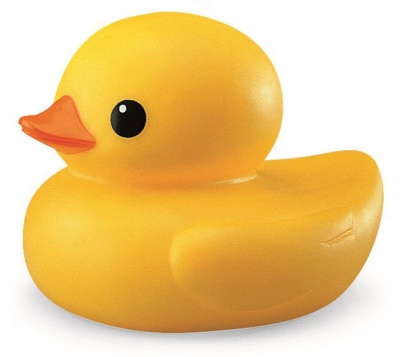 Photo of TOLO - Toys Bath Duck
