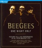 Bee Gees: One Night Only Photo