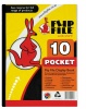 Flip File A4 Display File -10 Pocket Photo