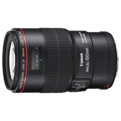 Photo of Canon EF 100mm f/2.8L IS USM Macro Lens