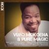 Vuyo And Pure Magic - Icon Photo