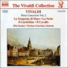 Bela Drahos - Vivaldi: Flute Ctos. Vol 02 Photo