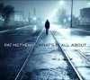 Pat Metheny - What's It All About Photo