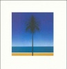 Metronomy - English Riviera Photo