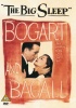 Big Sleep Photo