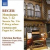 Christian Barthen - Reger: Organ Works Vol 13 Photo