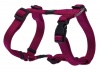 Rogz - Alpinist 16mm Dog H-Harness - Pink Photo
