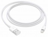 Lightning to USB Cable Photo