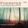 Patricia Goodson - Foerster: Dreams Memories & Impression Photo