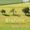 Gutman Trio - Brahms: Piano Trios Nos 1 & 3 Photo