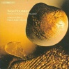 Camerata Wales - Holmboe: Kairos Photo