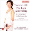 Lark Ascending - Photo