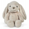 Cloud B - Bubbly Bunny Photo
