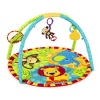 Bright Starts - Pal Around Jungle Activity Gym Photo