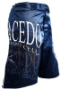Macedo Fight Gear Switch Shorts Photo