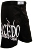 Macedo Fight Gear Black Flame Shorts Photo