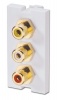 Lindy Snap In Face Plate 3RCA F to F Photo