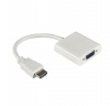 Tangled - HDMI to VGA Photo