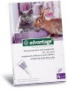 Advantage Large Cats Photo
