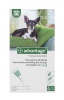 Advantage Small Dogs - 4 x 0.4ml Photo