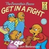 Berenstain Bears Get In A Fight Photo