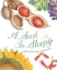 A Seed Is Sleepy Photo