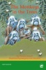 Monkeys in the tree : Grade 1 Photo