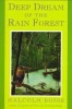 Deep Dream of the Rain Forest Photo