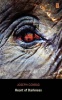 Heart of Darkness Photo