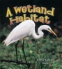 A Wetland Habitat Photo