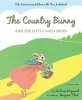 The Country Bunny and the Little Gold Shoes Photo