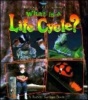 What Is A Life Cycle? Photo