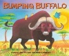 African Animal Tales Photo