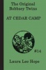 The Bobbsey Twins at Cedar Camp Photo