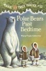 Magic Tree House 12 Photo