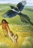Two Hawk Dreams Photo