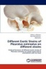 Different Exotic Strains of Pleurotus Ostrreatus on Different Strains Photo