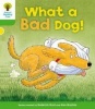 Oxford Reading Tree: Level 2: Stories: What a Bad Dog! Photo