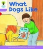 Oxford Reading Tree: Level 1 : More First Sentences A: Pack of 6 Photo
