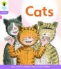 Oxford Reading Tree: Level 1 : Floppy's Phonics Fiction: Pack of 6 Photo