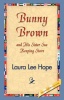 Bunny Brown and His Sister Sue Keeping Store Photo