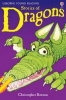 Stories of Dragons Photo