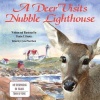 A Deer Visits Nubble Lighthouse Photo