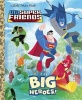 DC Super Friends: Big Heroes! Photo