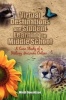 Virtual Destinations and Student Learning in Middle School Photo