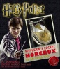 Harry Potter Locket Horcrux Kit and Sticker Book Photo