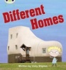 Bug Club Phonics Bug Non-fiction Set 25 Different Homes Photo