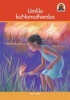 Junior African Writers Series isiXhosa: Umlimo kaNomathemba : Grade 4: Reader Photo
