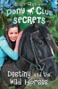 Pony Club Secrets 03 Destiny Photo